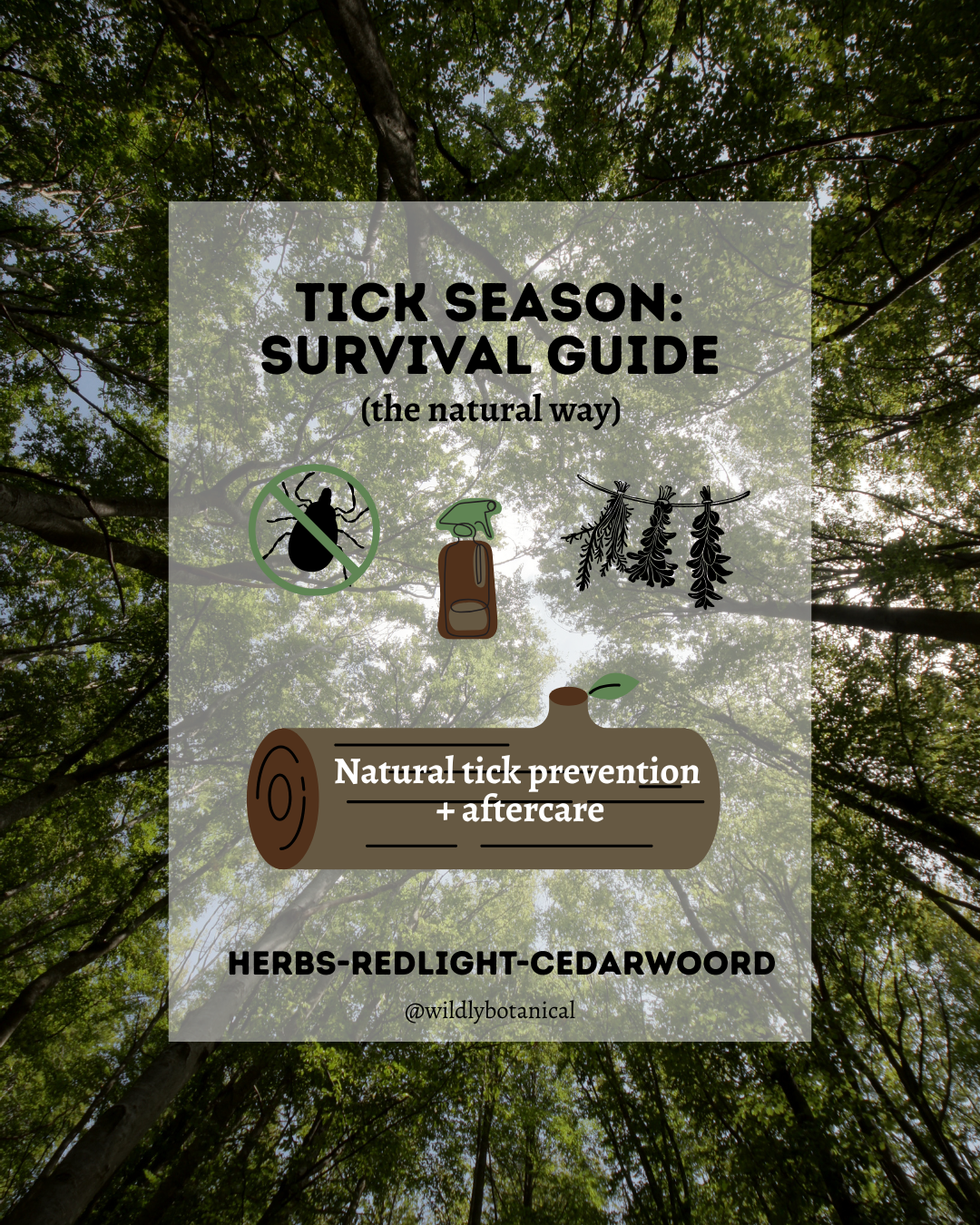 šæ Natural Tick Prevention & Herbal Care After a Tick Bite