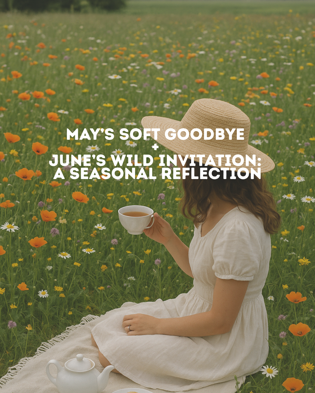🌿 May’s Soft Goodbye & June’s Wild Invitation: A Seasonal Reflection 🌿