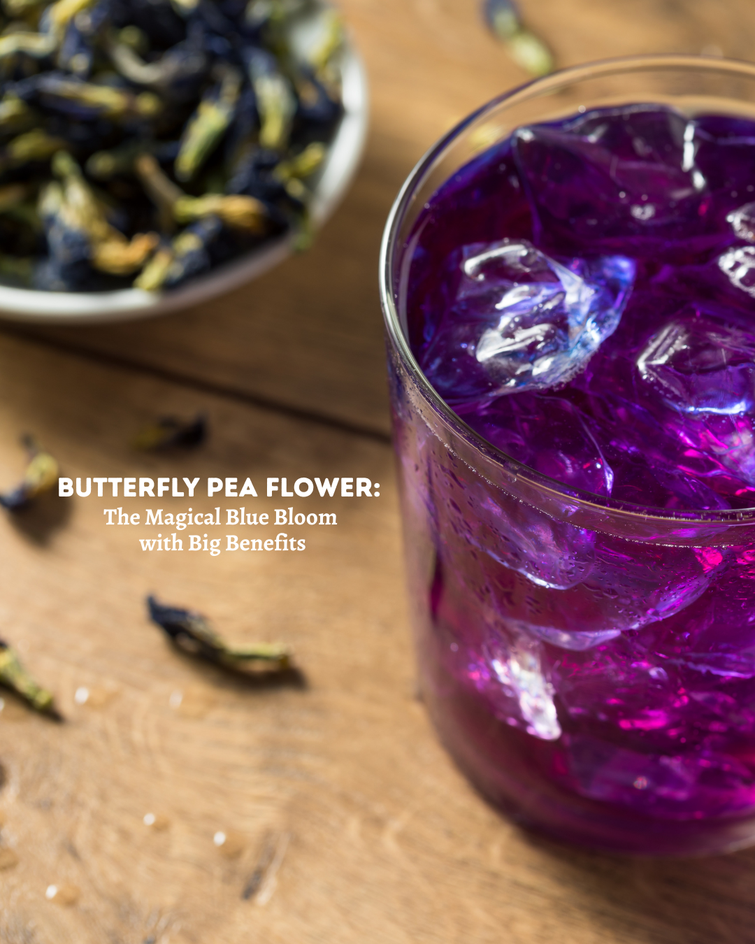 butterfly pea flower