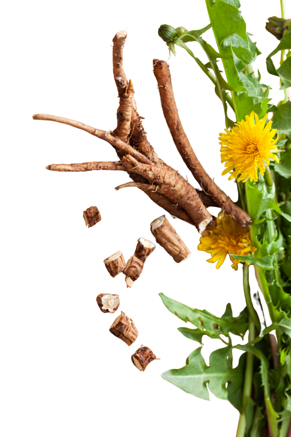 Organic Dandelion Root
