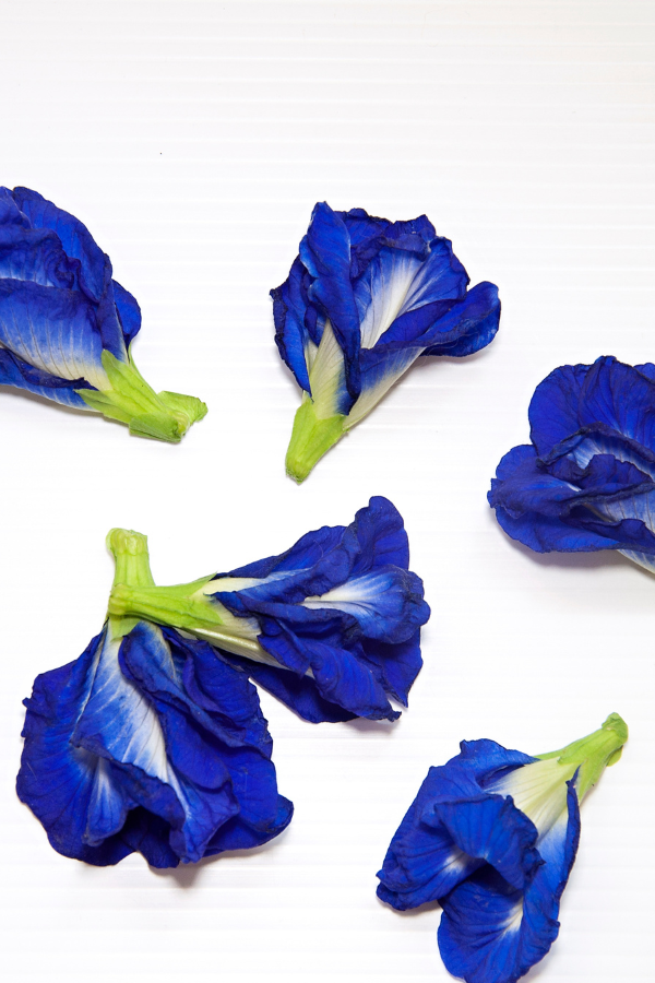 Organic Butterfly Pea Flower