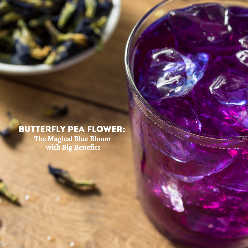 butterfly pea flower
