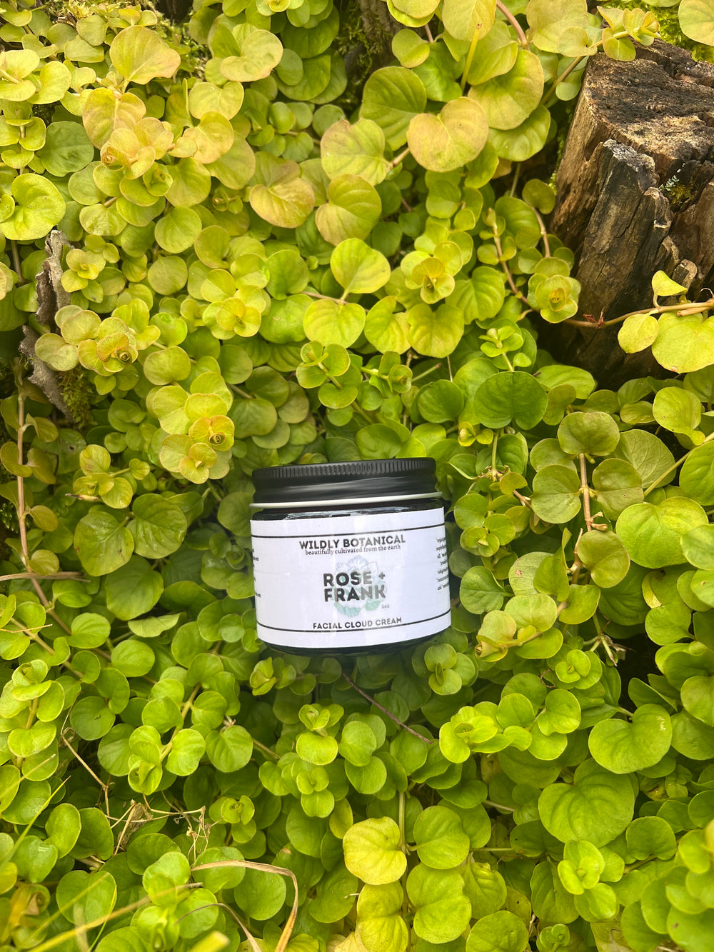 ROSE + FRANK Cloud Cream